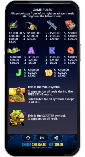 Game rules screen showing symbol payouts and wild scatter info